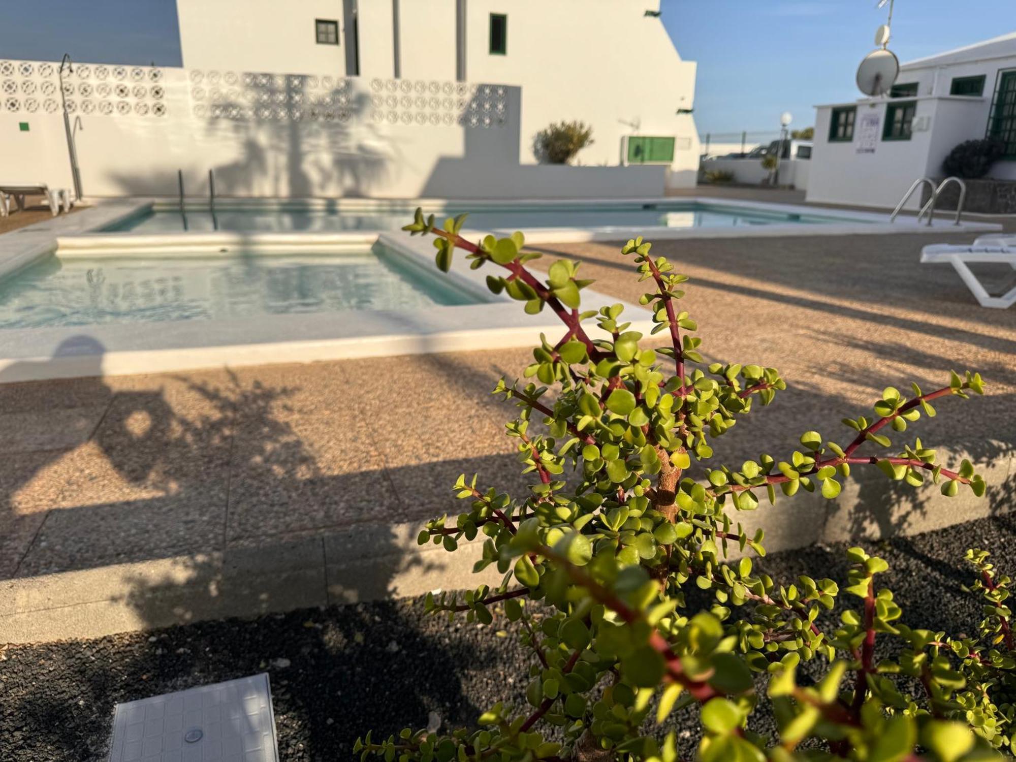 Apartment Mimosas Puerto del Carmen (Lanzarote)