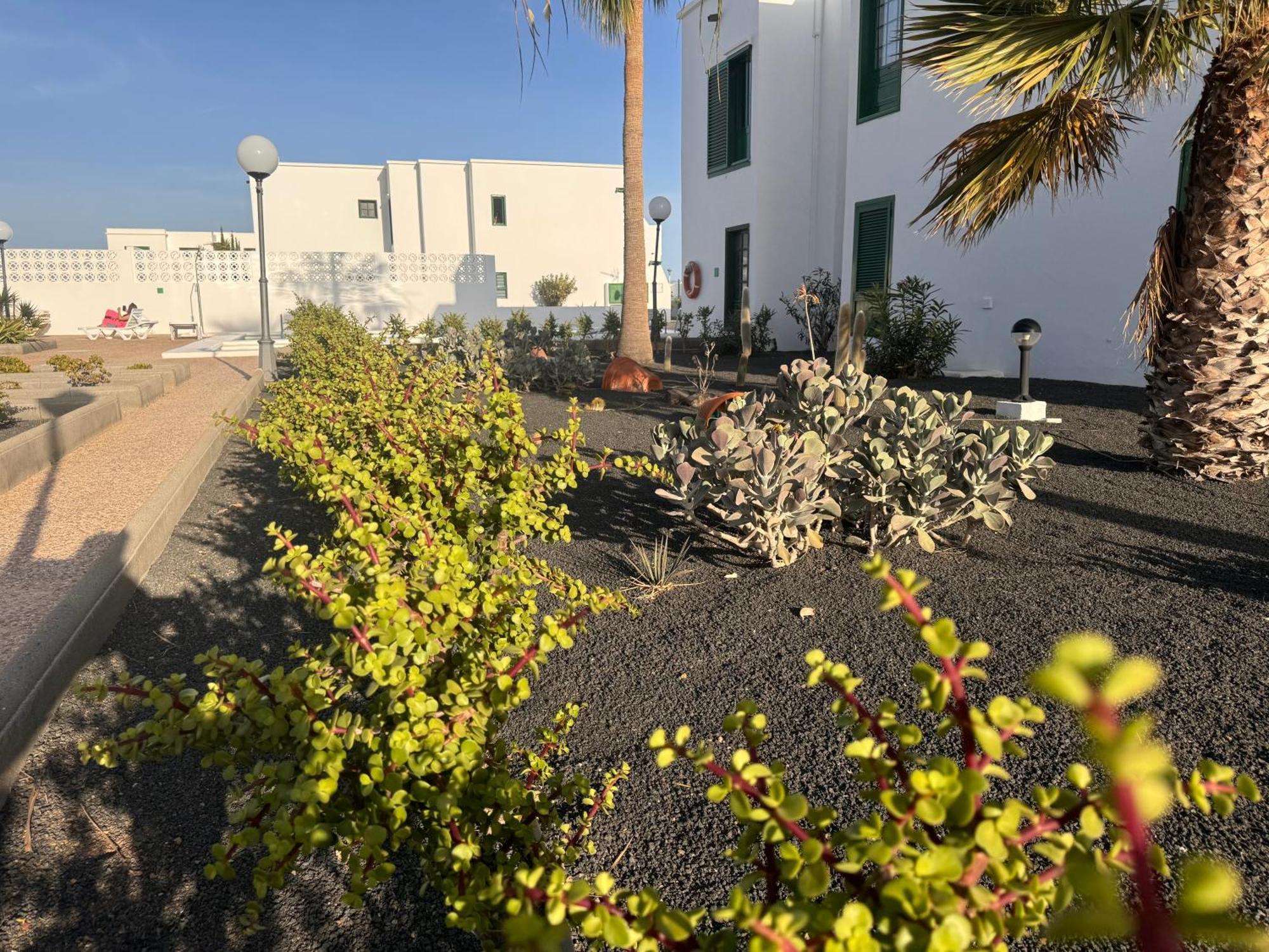 Apartment Mimosas Puerto del Carmen (Lanzarote)