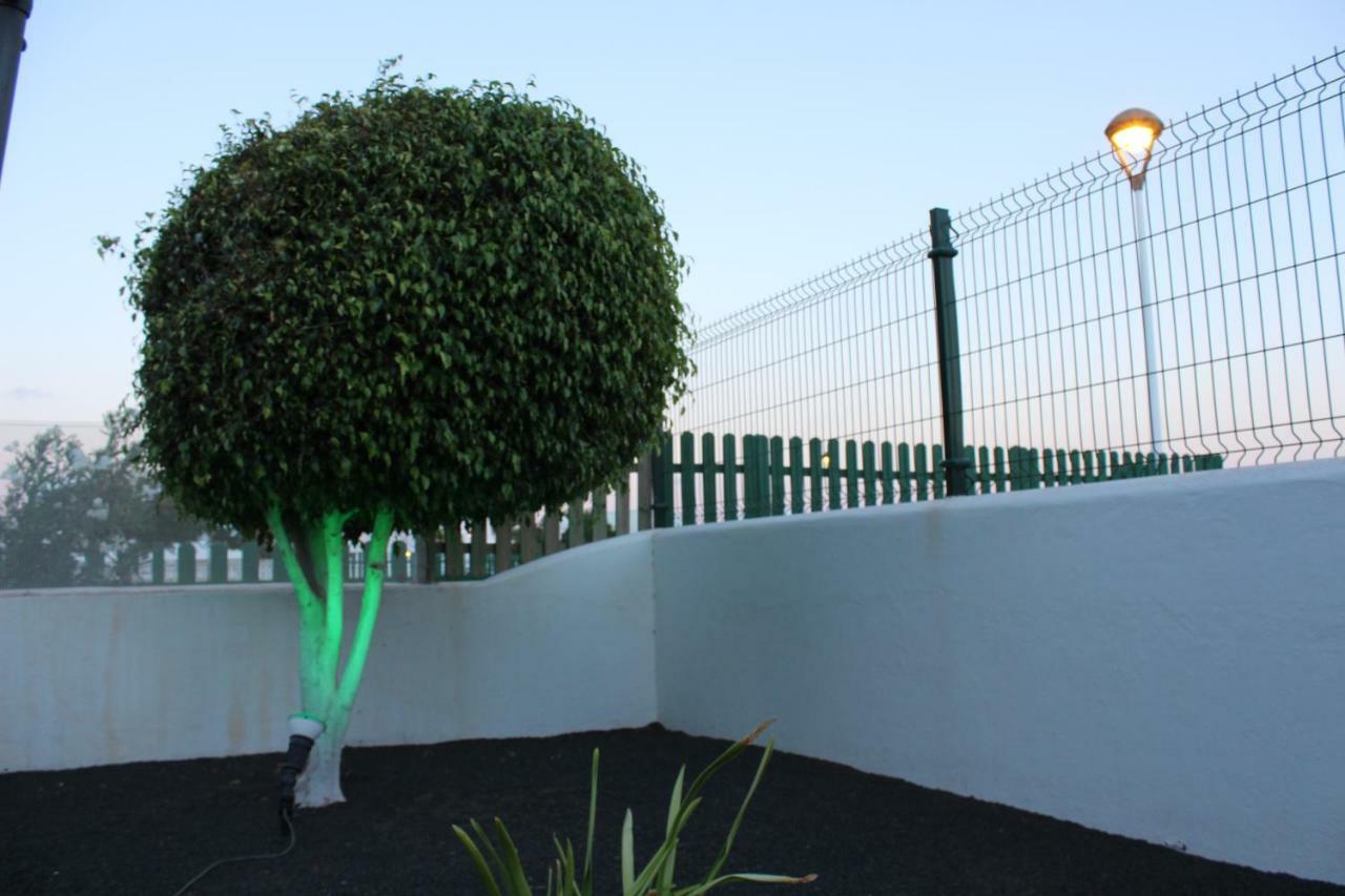 Mimosas Apartment Puerto del Carmen (Lanzarote)